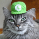 Illustration for article titled Your Cat emNeeds/em Tiny Little Nintendo Hats, OK?